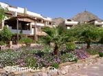 Hotel Hilton Taba Resort & Nelson Village *****